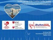 CroRhythm Banner 2020